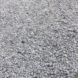 Meet your Posher, Mickey